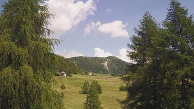 immagine della webcam nei dintorni di Saviore dell'Adamello: webcam Tirano