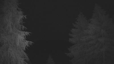 immagine della webcam nei dintorni di Saviore dell'Adamello: webcam Tirano