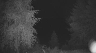 immagine della webcam nei dintorni di Grosotto: webcam Tirano