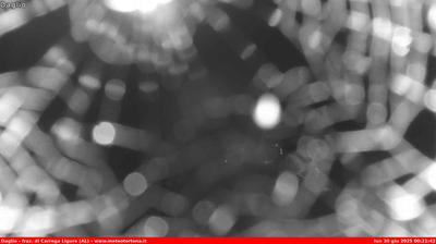 immagine della webcam nei dintorni di Propata: webcam Carrega Ligure