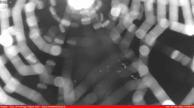 immagine della webcam nei dintorni di Cantalupo Ligure: webcam Carrega Ligure