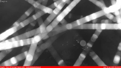 immagine della webcam nei dintorni di Brignano-Frascata: webcam Carrega Ligure