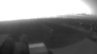 Preview delle webcam di Pinarella di Cervia: Pinarella - Bagni Delfino