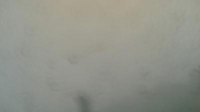 immagine della webcam nei dintorni di Usseglio: webcam Mompantero