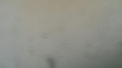 immagine della webcam nei dintorni di Claviere: webcam Mompantero