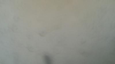immagine della webcam nei dintorni di Bussoleno: webcam Mompantero
