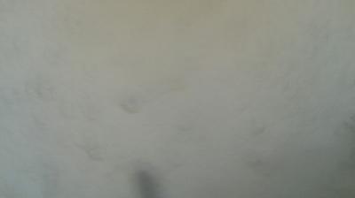 immagine della webcam nei dintorni di Sestriere: webcam Mompantero