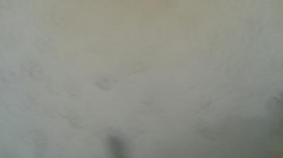 immagine della webcam nei dintorni di Pragelato: webcam Mompantero