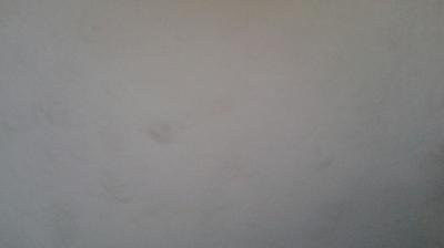 immagine della webcam nei dintorni di Melezet: webcam Mompantero