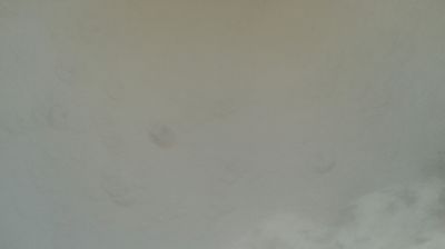 immagine della webcam nei dintorni di Moncenisio: webcam Mompantero