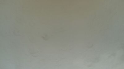 immagine della webcam nei dintorni di Usseglio: webcam Mompantero