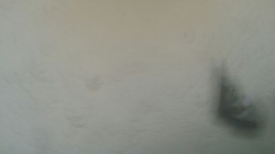 immagine della webcam nei dintorni di Pian della Mussa: webcam Mompantero