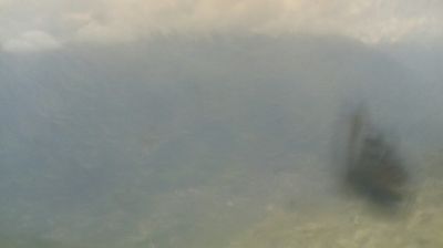 immagine della webcam nei dintorni di Sauze d'Oulx: webcam Mompantero