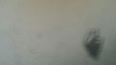 immagine della webcam nei dintorni di Pragelato: webcam Mompantero