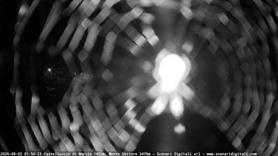 immagine della webcam nei dintorni di Frontignano: webcam Castelluccio Norcia