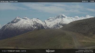 immagine della webcam nei dintorni di Cavalese: webcam Pampeago