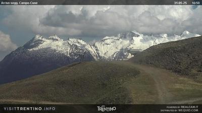 immagine della webcam nei dintorni di Cavalese: webcam Pampeago