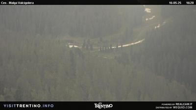 Preview delle webcam di San Martino di Castrozza: Malga Valcigolera - San Martino