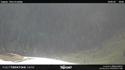 Preview delle webcam di San Martino di Castrozza: Malga Tognola - San Martino
