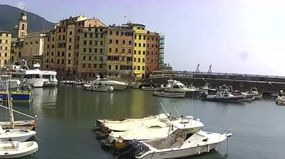 immagine della webcam nei dintorni di Cicagna: webcam Camogli