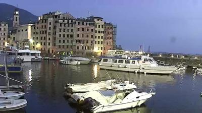 immagine della webcam nei dintorni di Zoagli: webcam Camogli