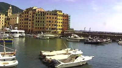 immagine della webcam nei dintorni di Quinto Al Mare: webcam Camogli