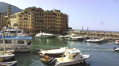 immagine della webcam nei dintorni di Zoagli: webcam Camogli