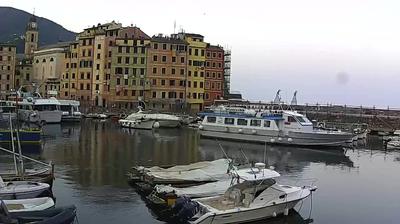 immagine della webcam nei dintorni di Genova: webcam Camogli