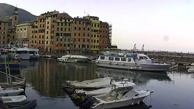 immagine della webcam nei dintorni di Semorile: webcam Camogli