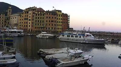 immagine della webcam nei dintorni di Cicagna: webcam Camogli