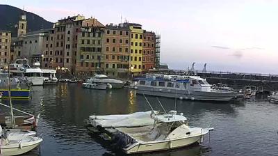 immagine della webcam nei dintorni di Cavi: webcam Camogli