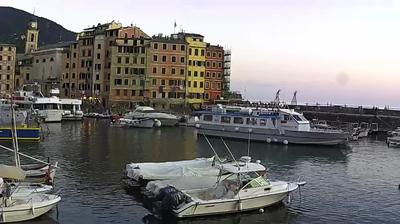 immagine della webcam nei dintorni di Favale di Malvaro: webcam Camogli