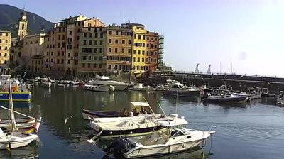 immagine della webcam nei dintorni di Genova: webcam Camogli