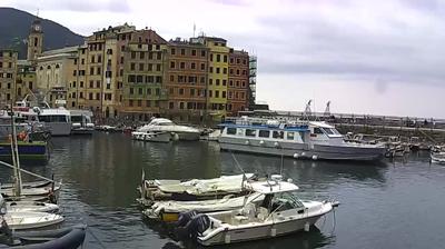immagine della webcam nei dintorni di Genova: webcam Camogli
