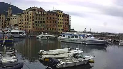 immagine della webcam nei dintorni di Santa Margherita Ligure: webcam Camogli