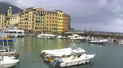 immagine della webcam nei dintorni di Bogliasco: webcam Camogli