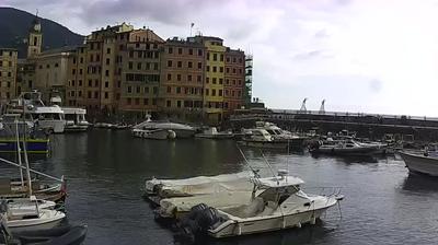 immagine della webcam nei dintorni di Quinto Al Mare: webcam Camogli