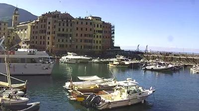 immagine della webcam nei dintorni di Favale di Malvaro: webcam Camogli