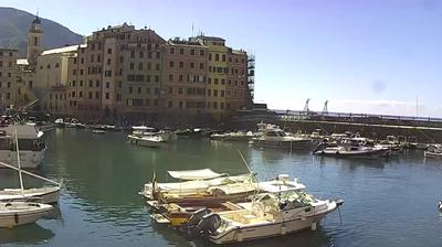 immagine della webcam nei dintorni di Tribogna: webcam Camogli