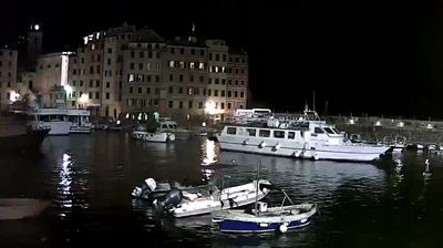 immagine della webcam nei dintorni di Sestri Levante: webcam Camogli