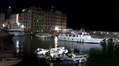 immagine della webcam nei dintorni di Sampierdarena: webcam Camogli