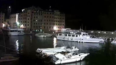 immagine della webcam nei dintorni di Rapallo: webcam Camogli