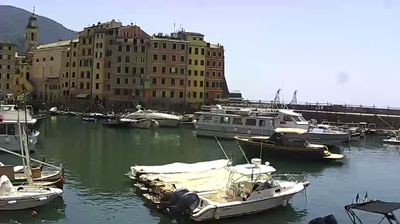 immagine della webcam nei dintorni di Quinto Al Mare: webcam Camogli