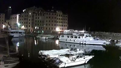 immagine della webcam nei dintorni di Bogliasco: webcam Camogli
