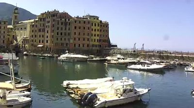 immagine della webcam nei dintorni di Rapallo: webcam Camogli
