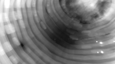 immagine della webcam nei dintorni di Trevignano Romano: webcam Bracciano