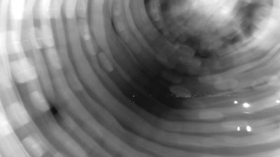 immagine della webcam nei dintorni di Trevignano Romano: webcam Bracciano