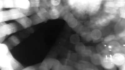immagine della webcam nei dintorni di Santa Severa: webcam Bracciano
