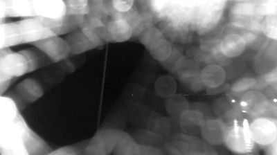 immagine della webcam nei dintorni di Ladispoli: webcam Bracciano
