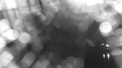 immagine della webcam nei dintorni di Allumiere: webcam Bracciano